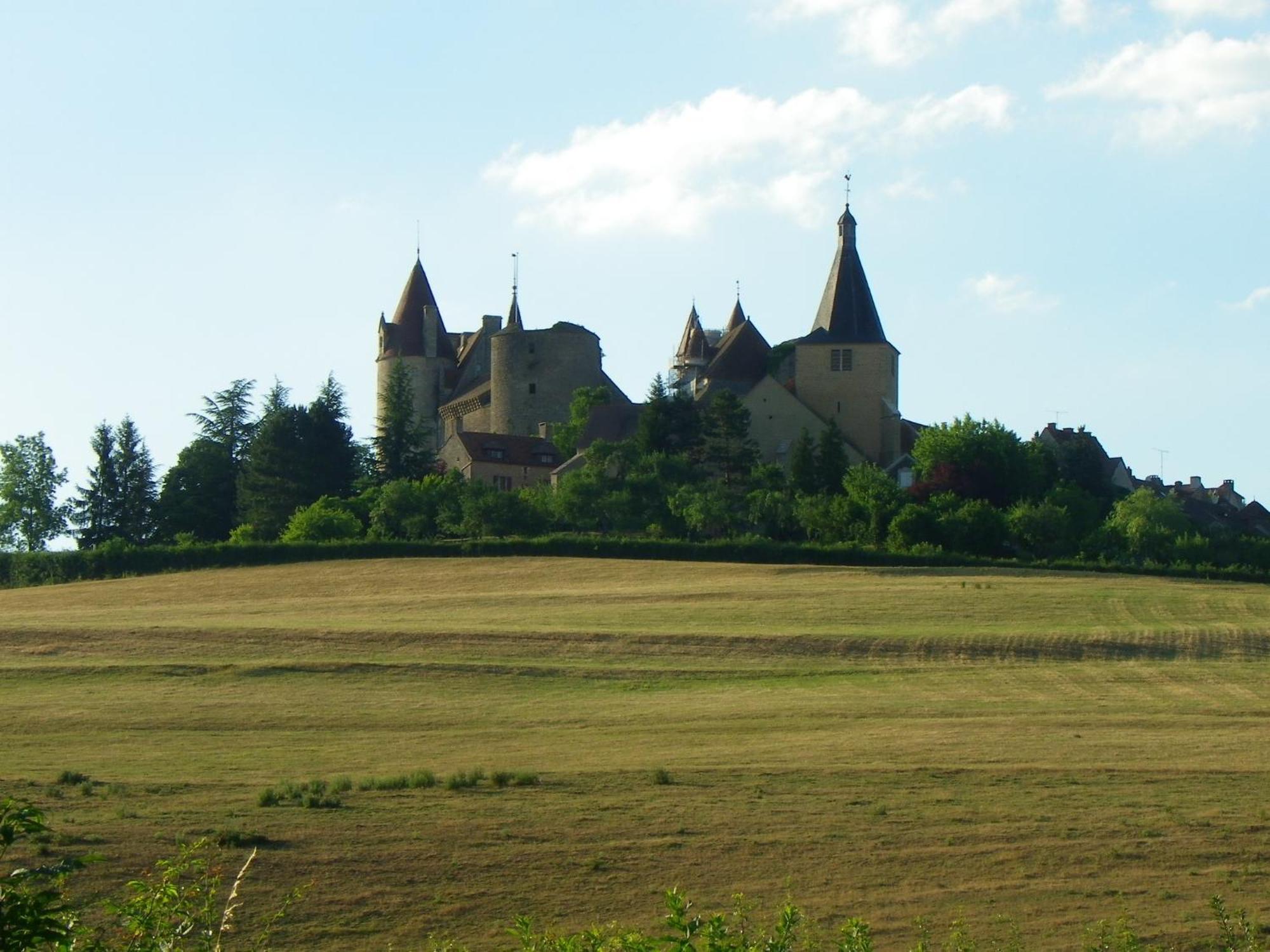 Le Cottage Du Chateau Chaudenay-le-Château Exterior photo